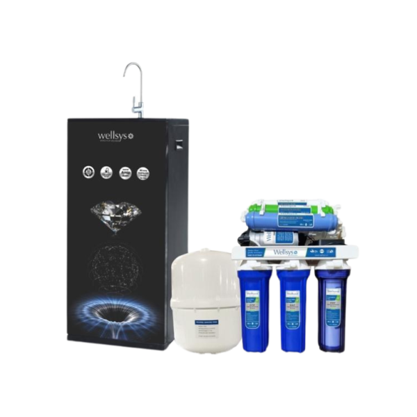 Wellsys WS - DIAMOND BLACK