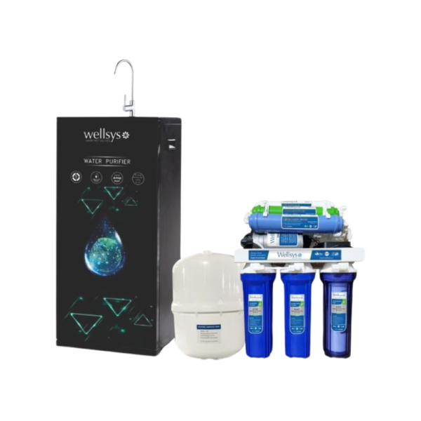 Wellsys WS - DIAMOND PLANET