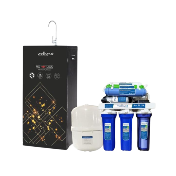 Wellsys WS-GOLD STAR