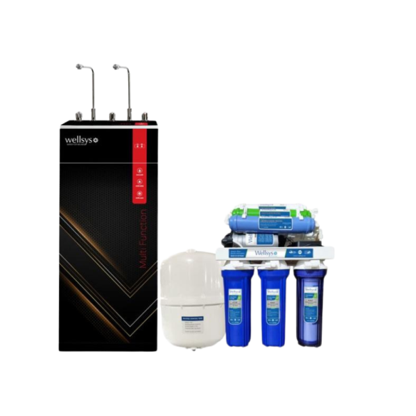Wellsys 100GPD COLD AND WARM RO WATER PURIFIER